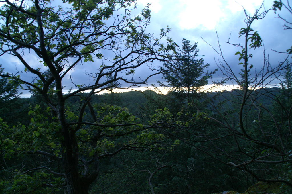 Gite Des Evets La-Roche-en-Ardenne Exteriér fotografie